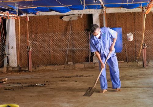 Người chăn nuôi gà gia công: “Khóc ròng” vì doanh nghiệp không làm đúng cam kết.