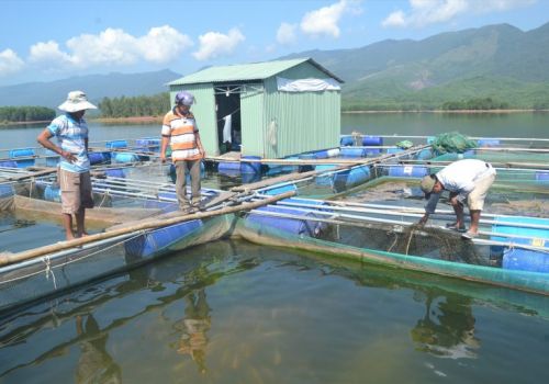 Hiện đại hóa để nuôi thủy sản bền vững