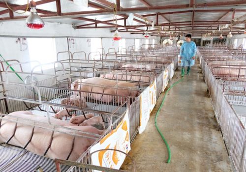 Đổi mới phát triển kinh tế trang trại tại Hà Nội