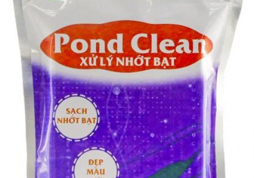 Pond Clean: Giải pháp xử lý triệt để nhớt tôm, nhớt bạt,đẹp màu nước