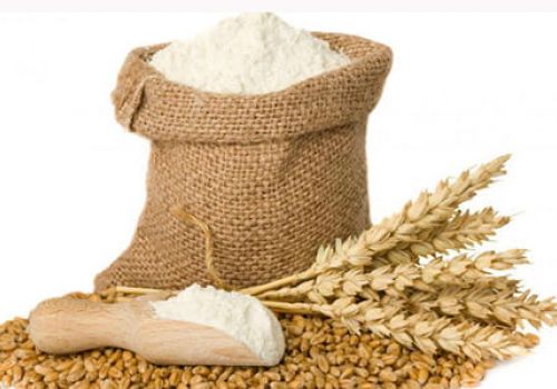 Quá trình lên men, ép đùn cải thiện giá trị dinh dưỡng của cám lúa mì trong khẩu phần ăn của lợn