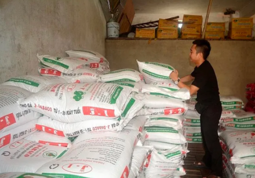 Giảm 3% chi phí thức ăn sẽ giảm được 2% giá thành chăn nuôi