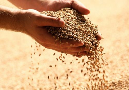 Long An: Tăng cường phòng, chống dịch bệnh trên gia súc, gia cầm