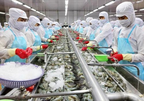 Tôm bơi về đích cuối năm!