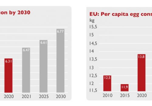 EU quan tâm sản xuất trứng hữu cơ