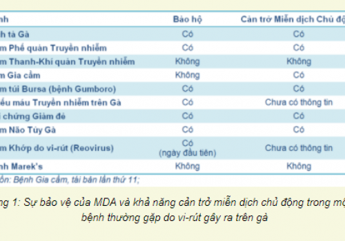 Miễn dịch thụ động (Phần 2)