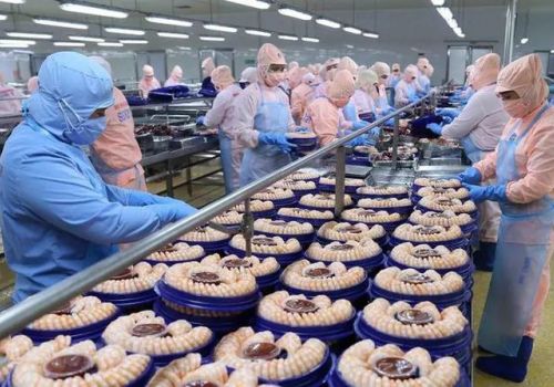 Xuất khẩu thủy sản tăng 50%, đạt 1,5 tỷ USD trong 2 tháng