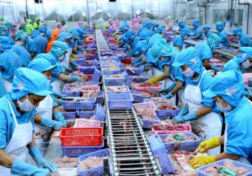 Xuất khẩu thuỷ sản tháng 11 hồi phục mạnh 23%
