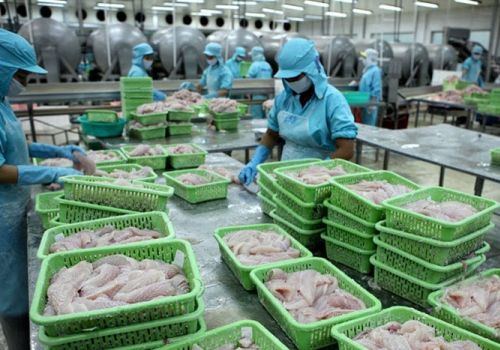 Xuất khẩu thủy sản Việt Nam ồ ạt sang thị trường Nga – Mỹ