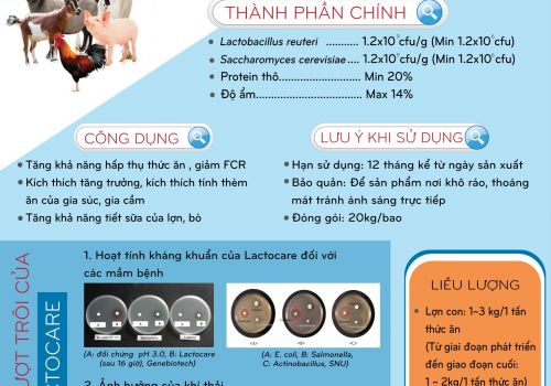 Xử lý khi bò mắt nhợt nhạt, sốt cao, ăn ít, gầy yếu