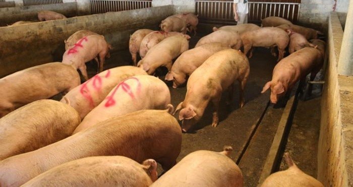 7c3b7a253f67d6398f76