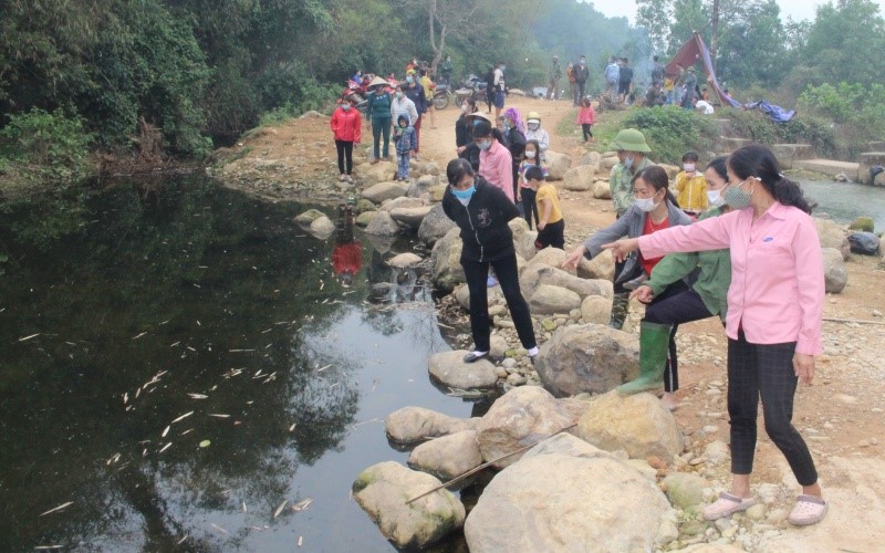 Thái Nguyên: Tiếp tục xử lý trang trại chăn nuôi gây ô nhiễm