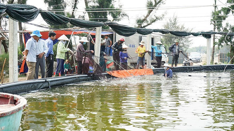 Bảo đảm an toàn thủy sản nuôi trong mùa mưa bão