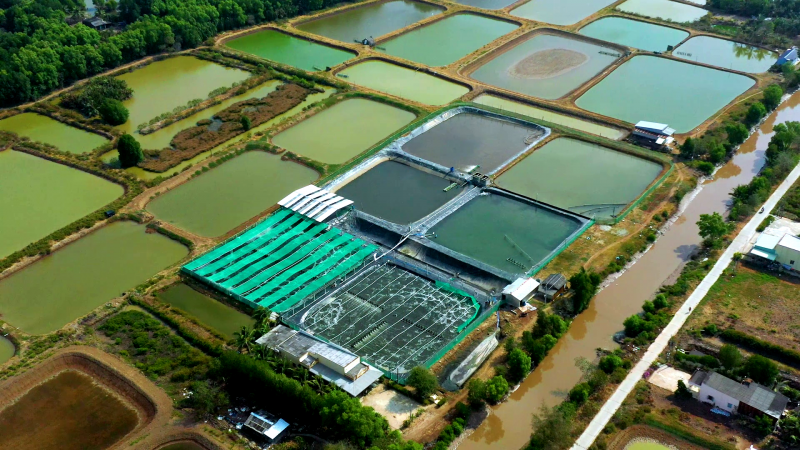 Trang-trai-nuoi-tom-tai-Bac-Lieu-e1619055081988