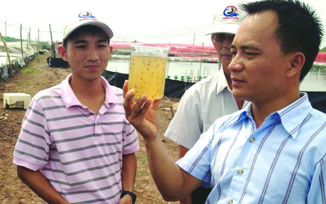 Áp dụng quy trình nuôi tôm theo công nghệ Biofloc tại Việt Nam