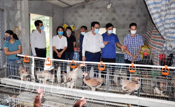 ap_dung_khoa_hoc_ky_thuat_nuoi_ga_to_08325304102021