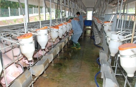 binh-duong-hai-huyen-duoc-cong-nhan-vung-toan-dich-benh-002