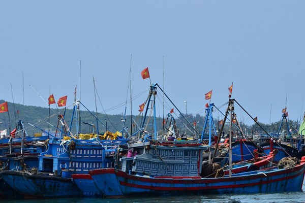 dsc_3451 (1)