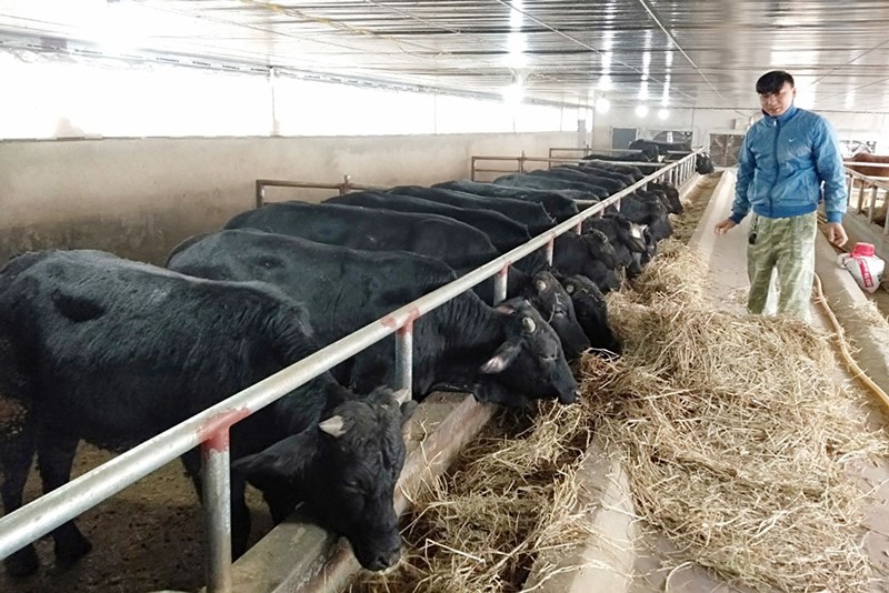 du-tru-thuc-an-vat-nuoi