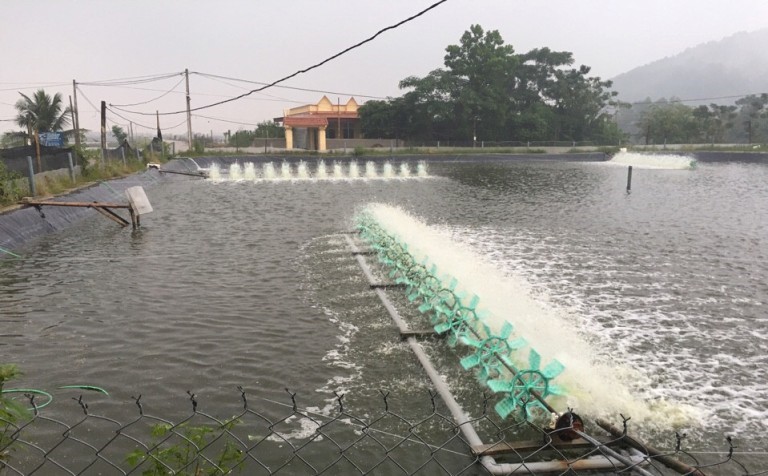 hoang-hoa-nuoi-trong-thuy-san