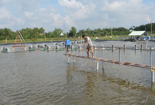 kho-khan-trong-tieu-thu-tom