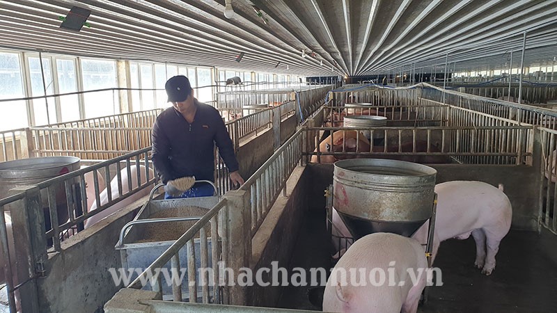 Trung Quốc: Nhập khẩu thịt năm 2021 giảm 5,4%, nguồn cung thịt lợn trong nước tăng vọt