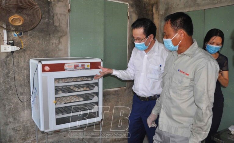 mayaptrung_08321704102021-768x472