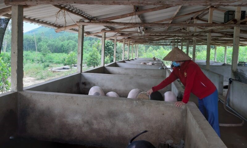 mo-hinh-chan-nuoi-heo-cua-chi-huong-e1643298416811