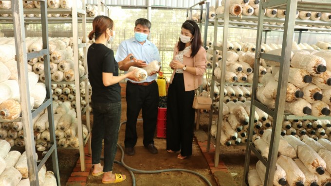 mo-hinh-trong-nam-tai-xa-bu-nho-huyen-phu-rieng-anh-trtrung-1155_20210916_741-172148