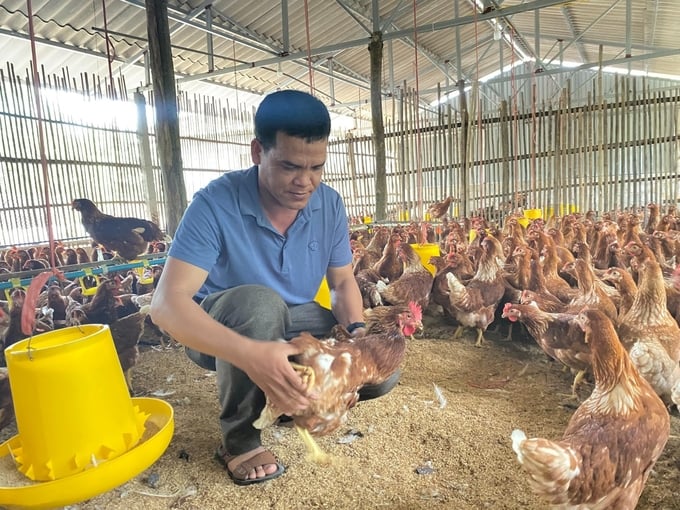 Chăn nuôi gà an toàn sinh học ở xứ Lạng