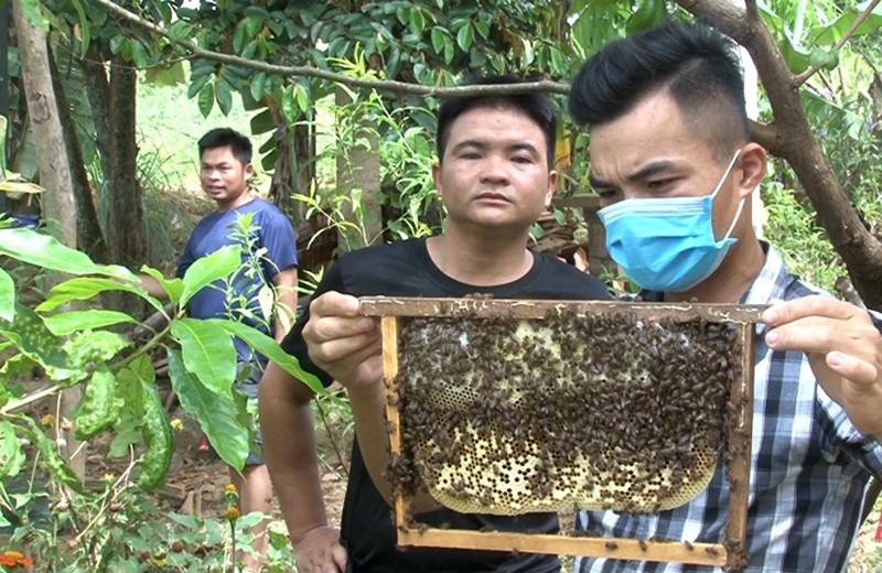 nuoi-ong-mat
