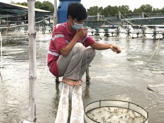 nuoi-tom-cong-nghe-lot-bat-tai-tra-vinh-e1637124105907