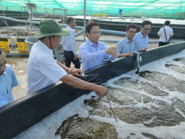 phat-trien-nuoi-tom-cong-nghe-e1639811373172