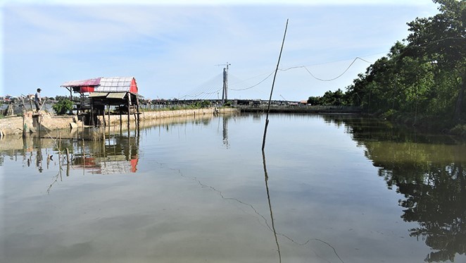 quan-ly-moi-truong-nuoi-trong-thuy-san