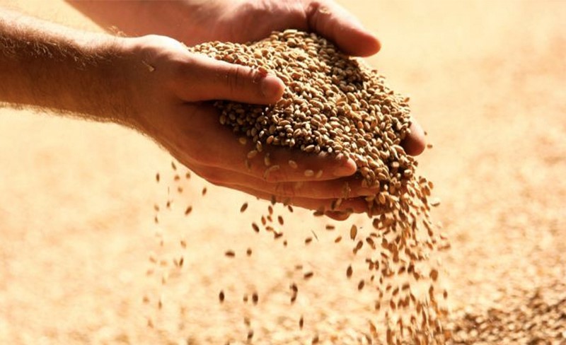 thuc-an-chan-nuoi(10)