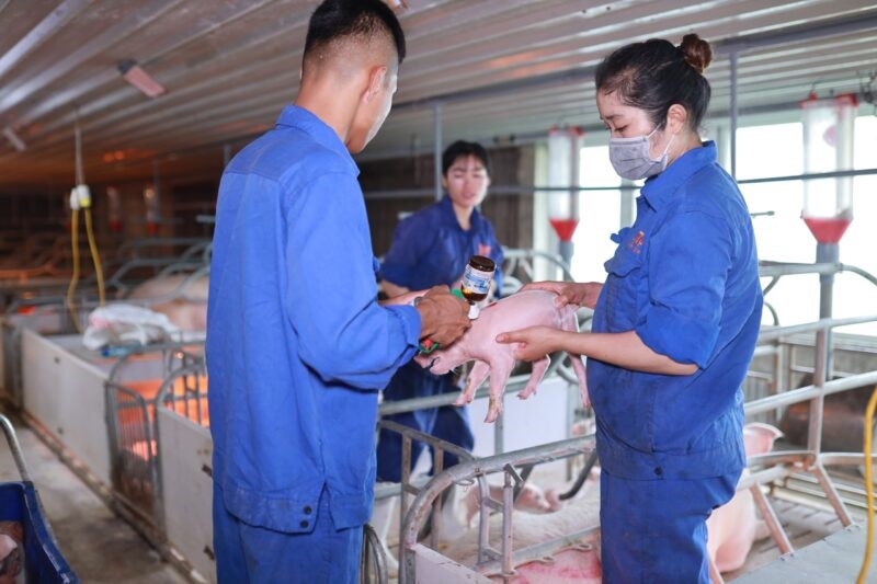 tinh-hinh-dich-benh-e1643297907370