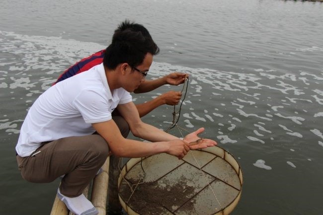 tinh-hinh-dich-benh-tom-nam-2020-1-e1609728951468
