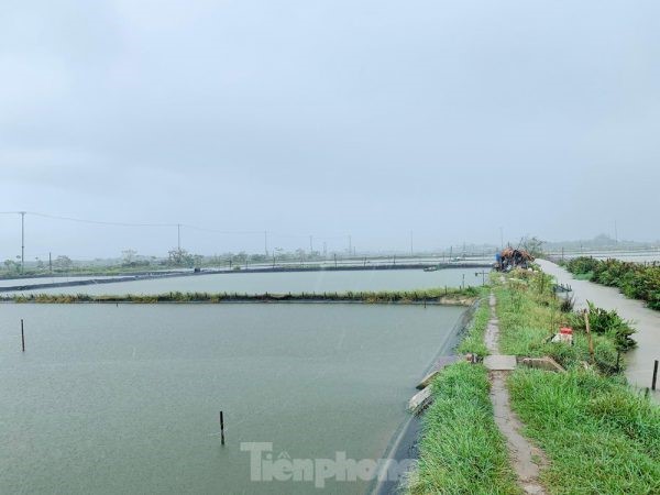 tp-anh-ca-3-7999-e1631251129682