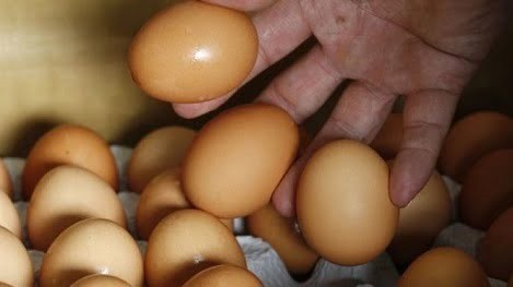 Đá vôi có thể là nguyên nhân của việc nứt trứng