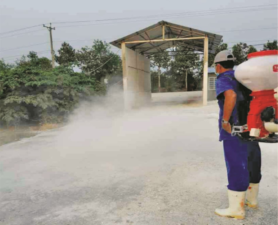 Quy trình xử lí chuồng trại sau khi bị nhiễm dịch tả heo châu Phi