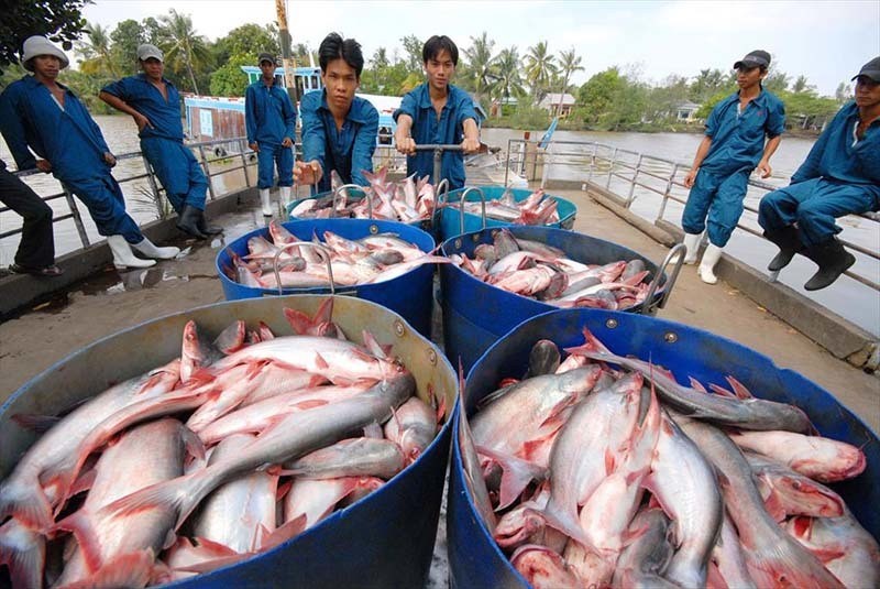 xuat-khau-thuy-san-sang-trung-quoc-giam-manh